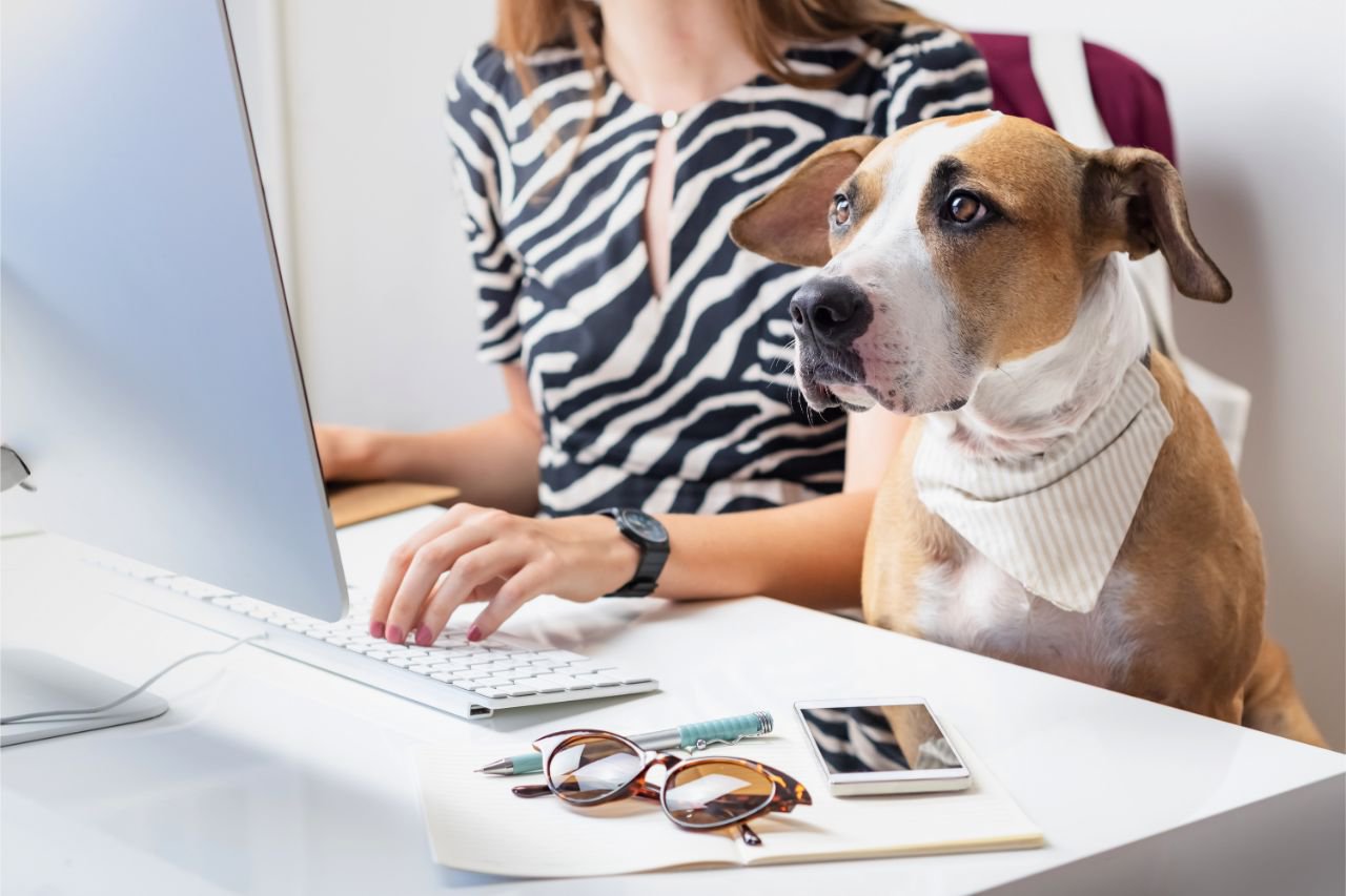 person on laptop with dog sitting next to them